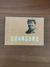 毛泽东同志在陕北  郑家声 上海人民美术出版社