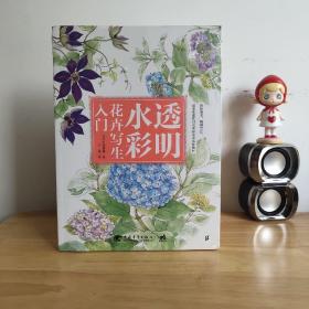 透明水彩花卉写生入门