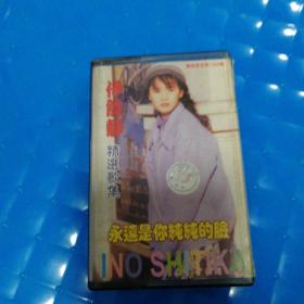伊能静精选歌集