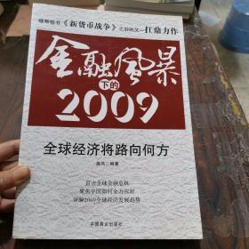 金融风暴下的2009