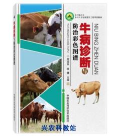 肉牛养殖技术大全视频教程13光盘/肉牛饲料配方种草养牛技术4书籍