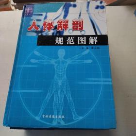 人体解剖规范图解全四卷 （无盘）