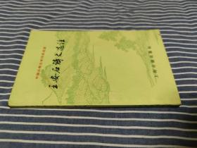 王安石诗文选注 / 中国古典文学作品选读 [宋] 王安石 著 上海古籍出版社 1994年1版1印 正版现货 实物拍照