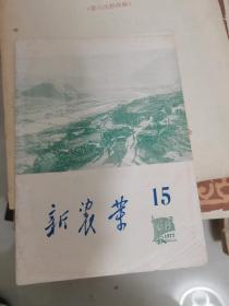 辽宁 新农村-1972年第15期