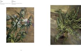 Lucian Freud: Herbarium  卢西安·弗洛伊德：植物标本室 英文原版