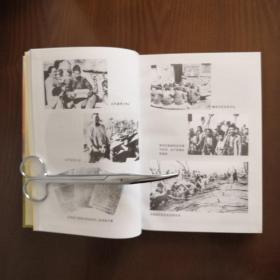 中共肥城地方史.第一卷:1927至1949