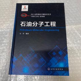 化工过程强化关键技术丛书-石油分子工程