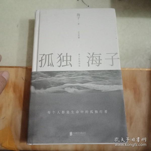 孤独海子：海子经典诗选