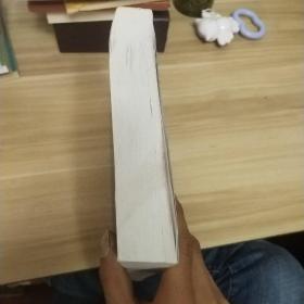 中国大坝协会丛书：水电可持续发展与碾压混凝土坝建设的技术进展（2015年）《内页干净》