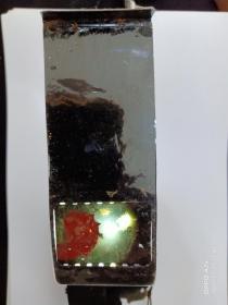 孟广居专利摄影产品——潜影合成拍摄器