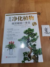 情趣生活系列：室内净化植物观赏栽培一本全