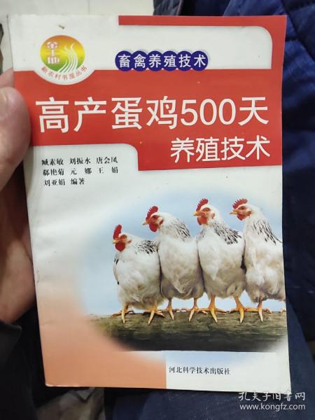 新农村书屋·畜禽养殖技术：高产蛋鸡500天养殖技术