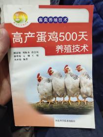 新农村书屋·畜禽养殖技术：高产蛋鸡500天养殖技术