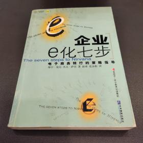 企业E化七步：企业电子商务战略与操作指南（第2册）