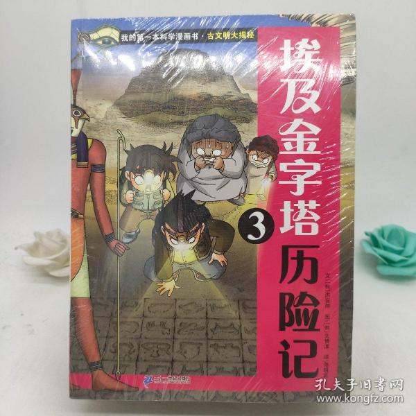 我的第一本科学漫画书 古文明大揭秘 8 吴哥窟历险记 2