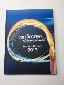 Annual Report 2013