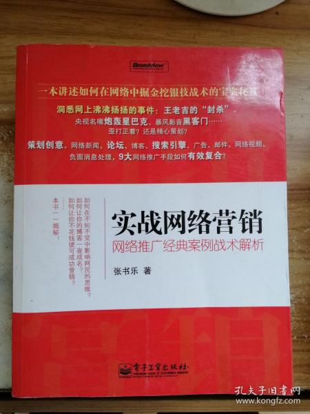 实战网络营销：网络推广经典案例战术解析