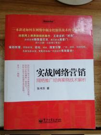 实战网络营销：网络推广经典案例战术解析