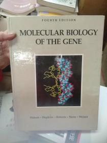 molecular biology of the gene
