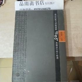 西北民族大学图书馆于右任旧藏金石拓片精选（8开精装带函套）.....