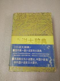 【小说大辞典】带护封32开精装本