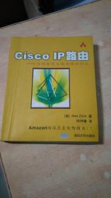 Cisco IP路由—分组转发与域内路由协议