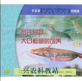 大口鲇鱼养殖技术大全4光盘革胡子鲶鱼苗繁殖塘鲺鱼饲养视频3书籍