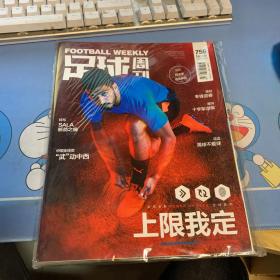 足球周刊 2019年总第756期（未拆封）