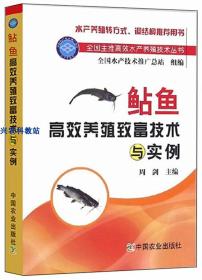 大口鲇鱼养殖技术大全4光盘革胡子鲶鱼苗繁殖塘鲺鱼饲养视频3书籍