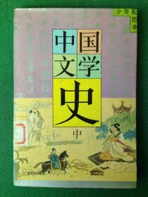 中国文学史.中.少年配图本---[ID:44381][%#118C6%#]