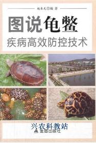 石金錢龜養(yǎng)殖技術(shù)大全4書籍龜苗孵化養(yǎng)烏龜技術(shù)方法視頻教程3光碟
