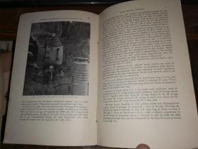 Log Treatments for Bark Beetle Control in connection witb tbe Dutch Elm Disease  荷兰榆病防治小蠹虫的原木处理【1947年版】国立中央研究院动物研究所藏书