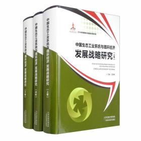 中国生态工业系统与循环经济发展战略研究（套装共三卷）