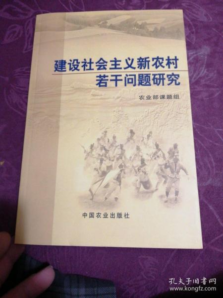 建设社会主义新农村若干问题研究