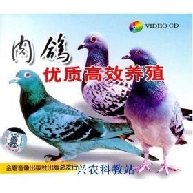 鸽子养殖技术大全3书籍|肉鸽养殖视频肉鸽饲养管理笼养鸽子4光碟
