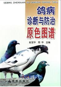 鸽子养殖技术大全3书籍|肉鸽养殖视频肉鸽饲养管理笼养鸽子4光碟