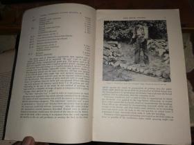 Log Treatments for Bark Beetle Control in connection witb tbe Dutch Elm Disease  荷兰榆病防治小蠹虫的原木处理【1947年版】国立中央研究院动物研究所藏书