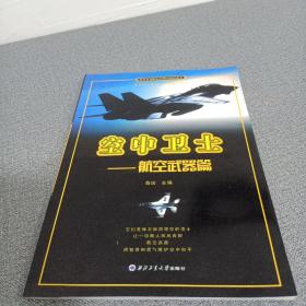 空中卫士——航空武器篇（青少年国防科技知识普及丛书）