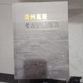 贵州董菁发掘报告(精)