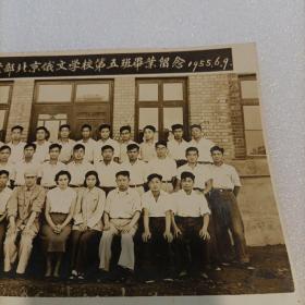 1955年老照片《第二机械工业部北京俄文学校第五班毕业留念》！