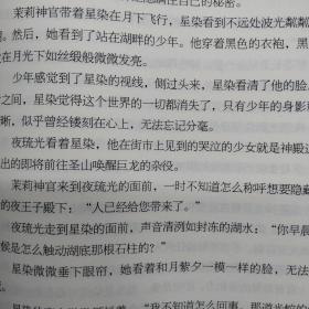 星愿大陆5夜之王子.