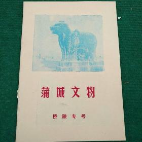 蒲城文物(封页)
