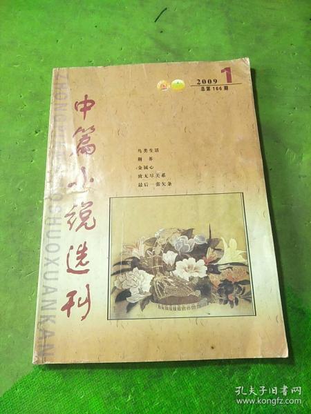 中篇小说选刊2009年1期