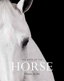 The Book of the Horse 马之书 知名艺术家绘画作品集 进口艺术