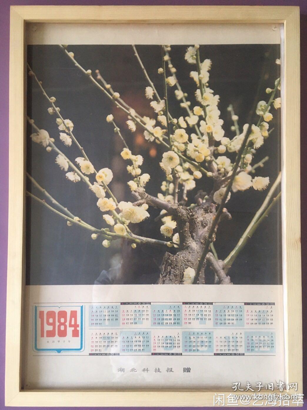 #每日一更# 1984年 傲梅 怀旧年画挂历年历画装饰画收藏 品相如图 尺寸四开 全网络销售 喜欢的朋友不要错过