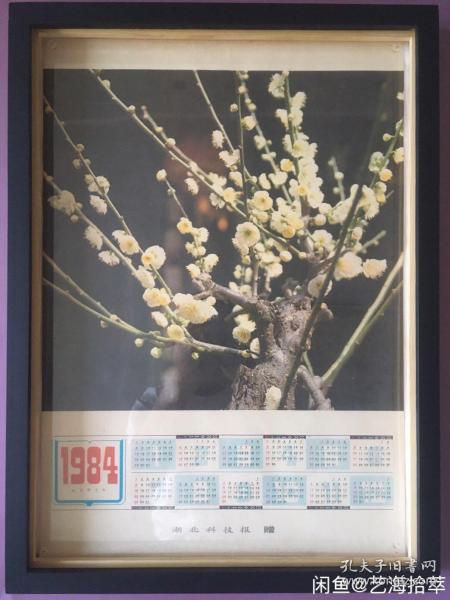 #每日一更# 1984年 傲梅 怀旧年画挂历年历画装饰画收藏 品相如图 尺寸四开 全网络销售 喜欢的朋友不要错过