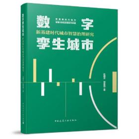 数字孪生城市：新基建时代城市智慧治理研究