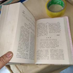 金元明清词鉴赏辞典 精装