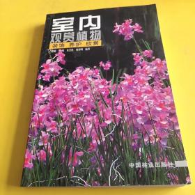 室内观赏植物：装饰、养护、欣赏