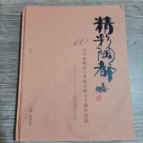 精彩陶都：宜兴市陶瓷行业协会成立十周年纪念